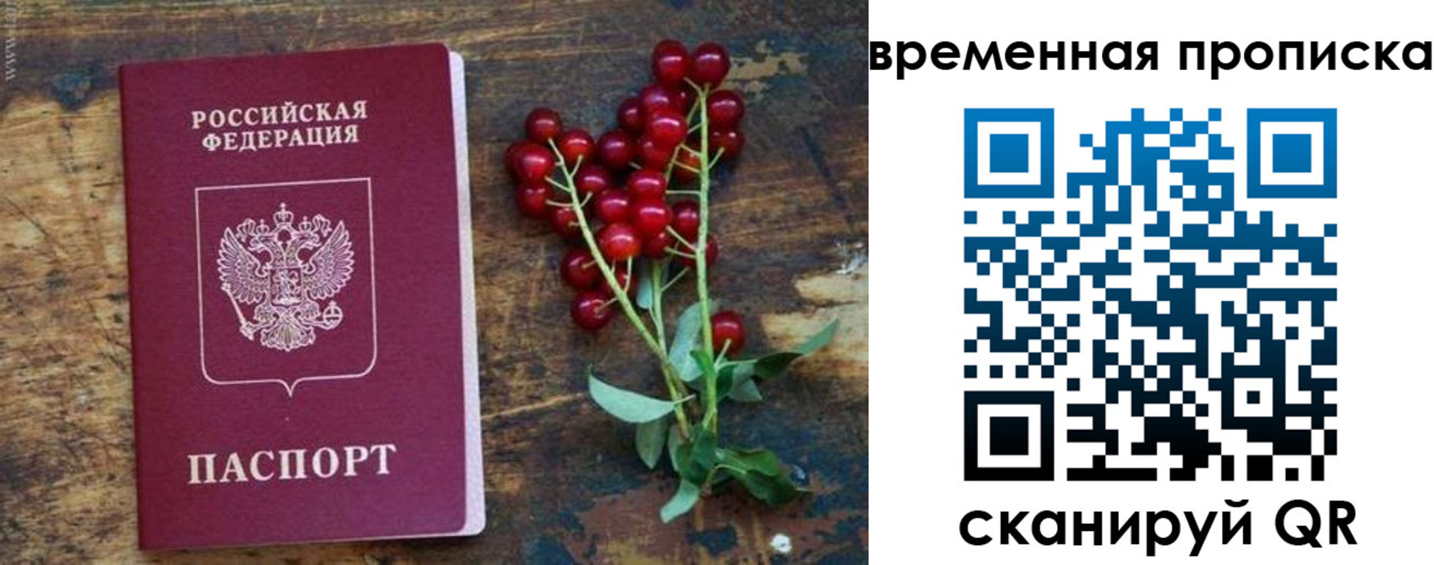 временная регистрация гарантия в Котовске
